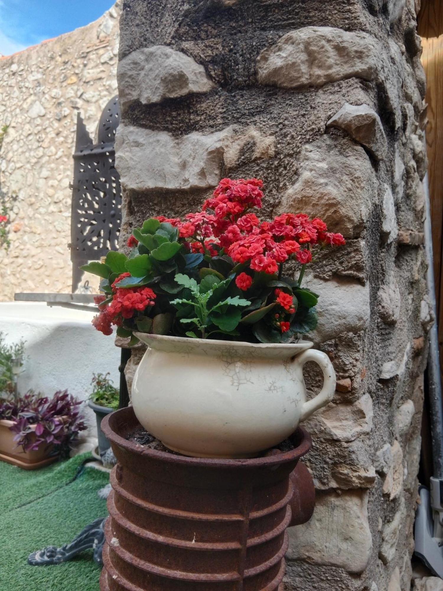 La Milotxa Hotel Adsubia Buitenkant foto